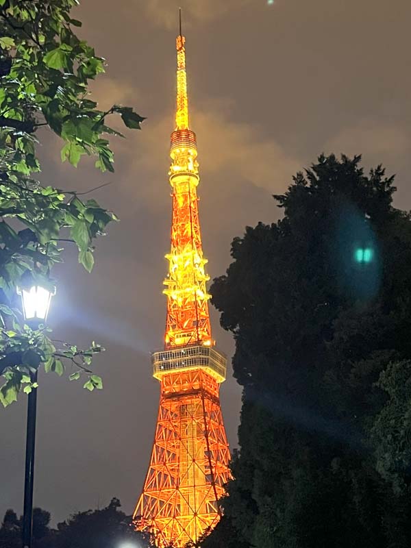 2024 TL SRS2 命の消費理論から命の共鳴理論への転換